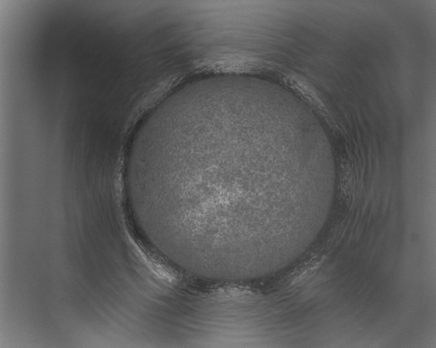 X0000073840586200608241019