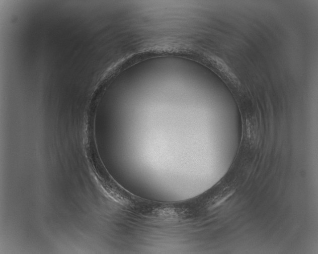 X0000073840588200608241019