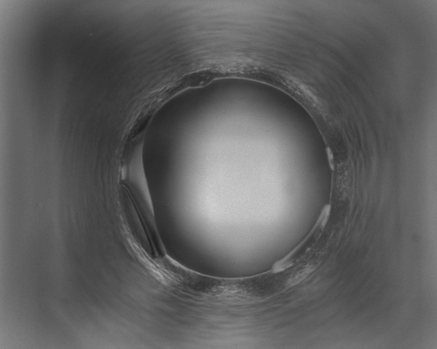 X0000073840589200608241019