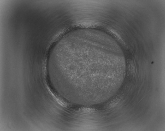 X0000073840590200608241019