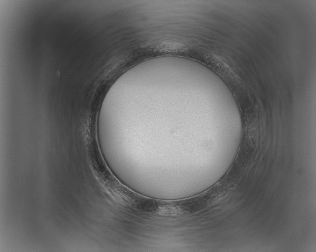 X0000073840591200608241019