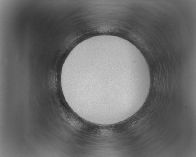 X0000073840592200608241019