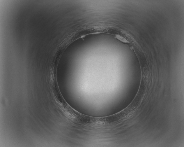 X0000073840593200608241019