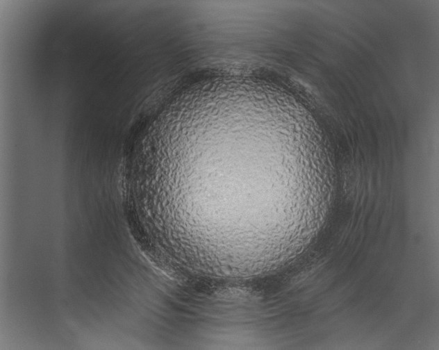 X0000073840594200608241019