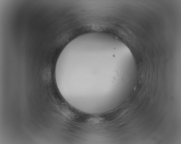 X0000073840595200608241019