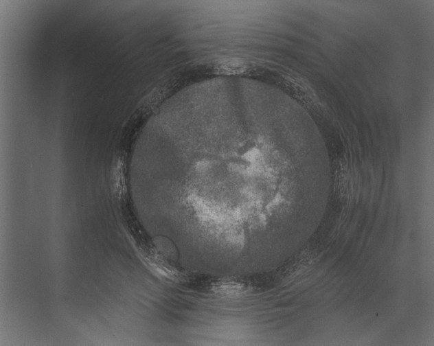 X0000073840598200608241019