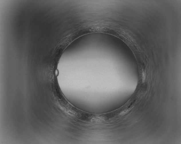 X0000073840599200608241019