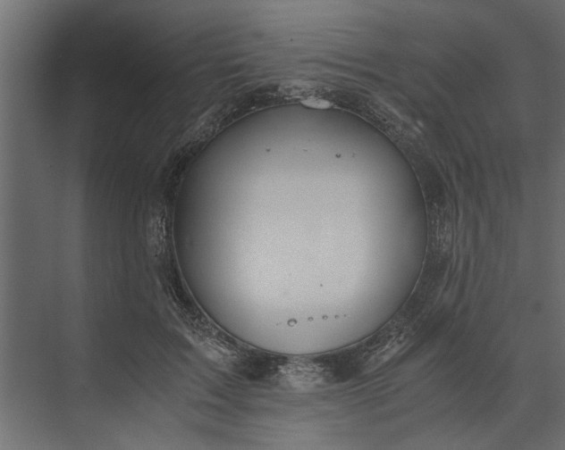 X0000073840603200608241019