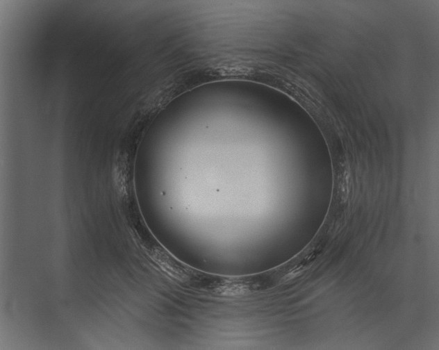 X0000073840604200608241019