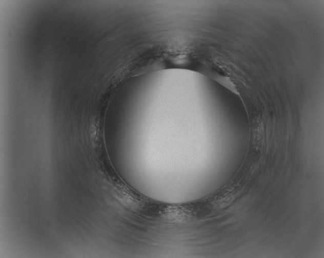 X0000073840608200608241018