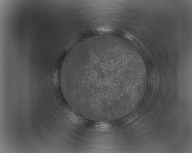 X0000073840610200608241018