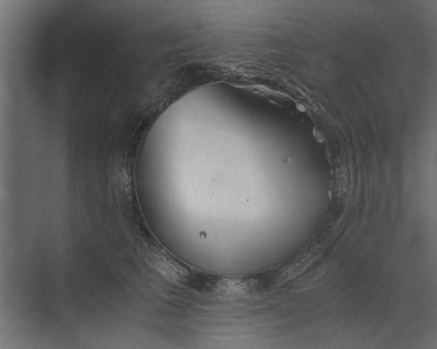 X0000073840613200608241018