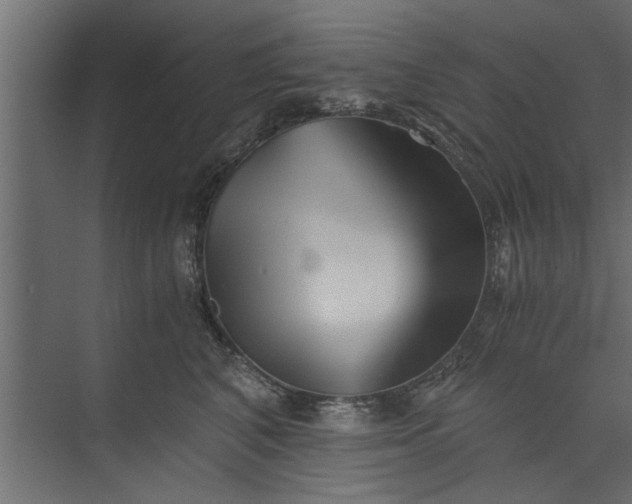 X0000073840616200608241018