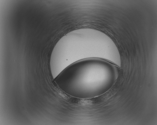 X0000073840617200608241018