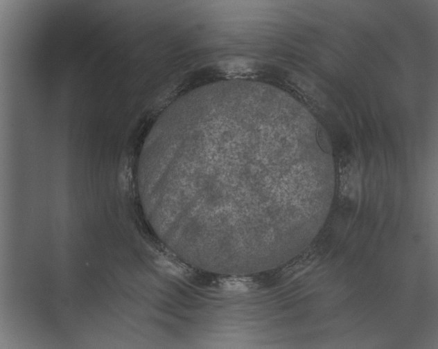 X0000073840618200608241018