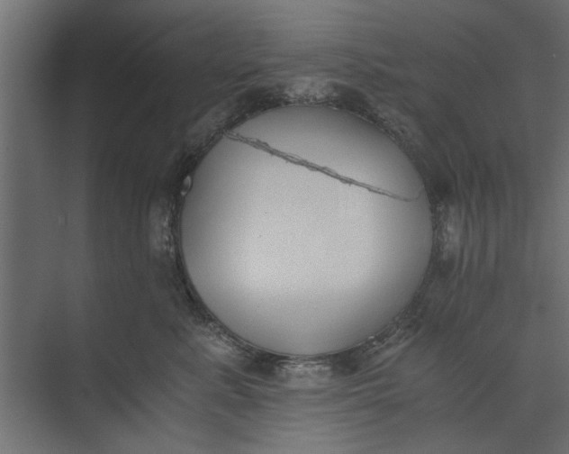 X0000073840619200608241018