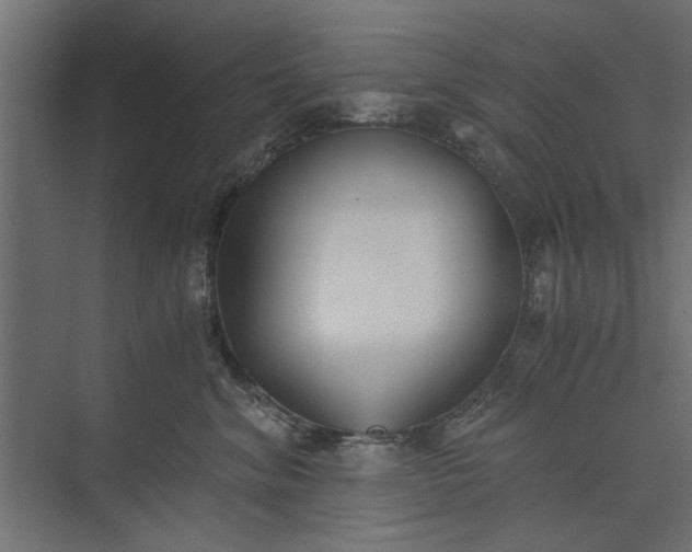 X0000073840620200608241018