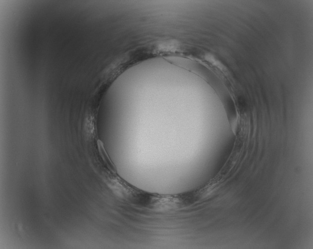 X0000073840621200608241018