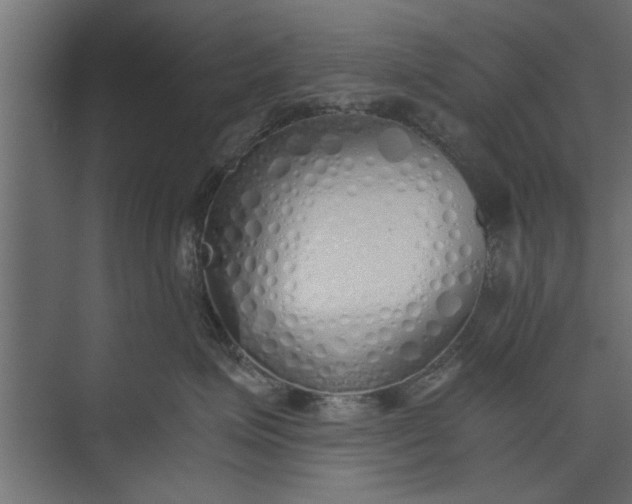 X0000073840623200608241018