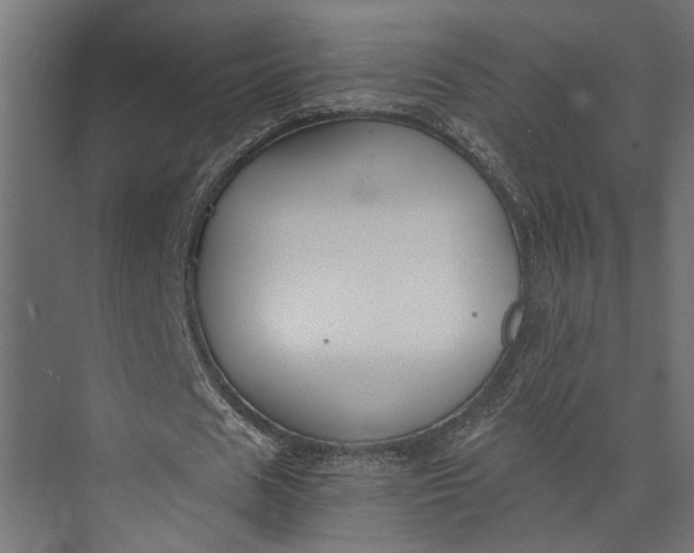 X0000073840625200608241017