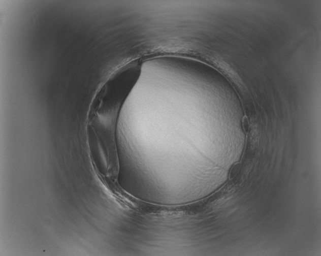 X0000073840626200608241017