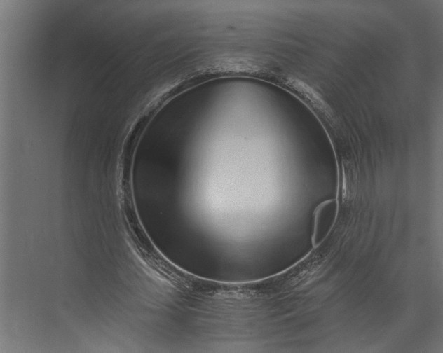 X0000073840627200608241017