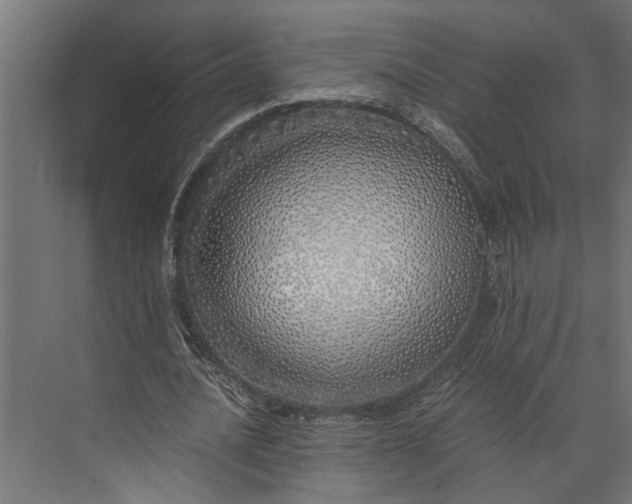 X0000073840628200608241017