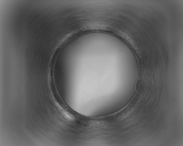 X0000073840629200608241017