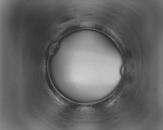 X0000073840637200608241018