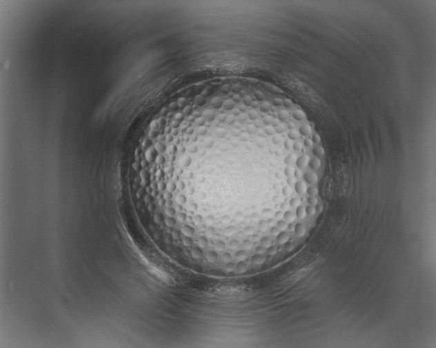 X0000073840638200608241018