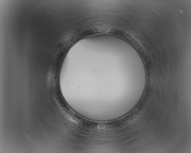 X0000073840641200608241018