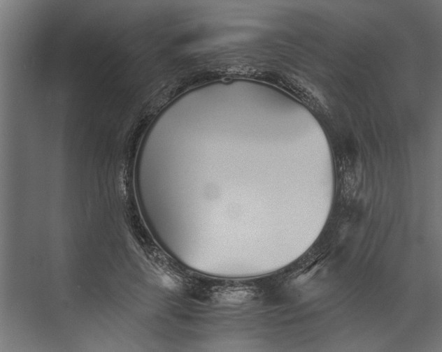 X0000073840643200608241018