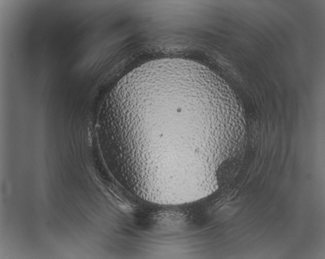 X0000073840644200608241018