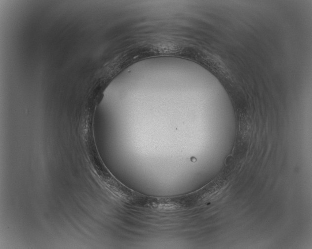 X0000073840645200608241018