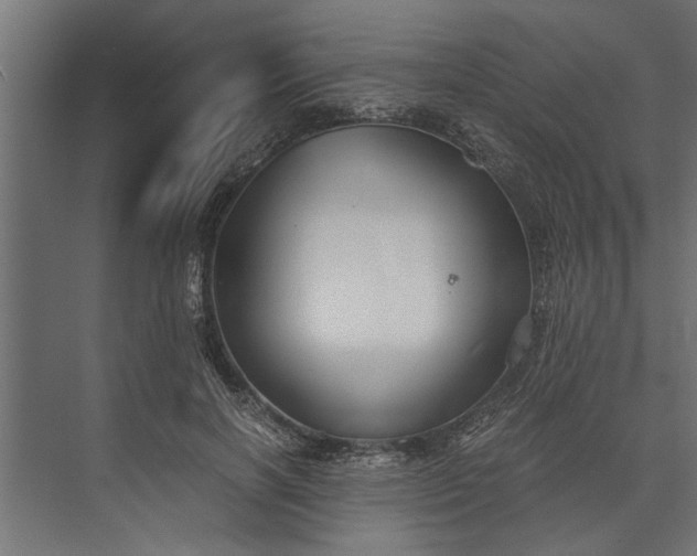 X0000073840646200608241018