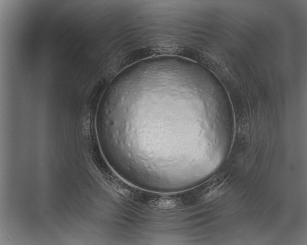 X0000073840647200608241018