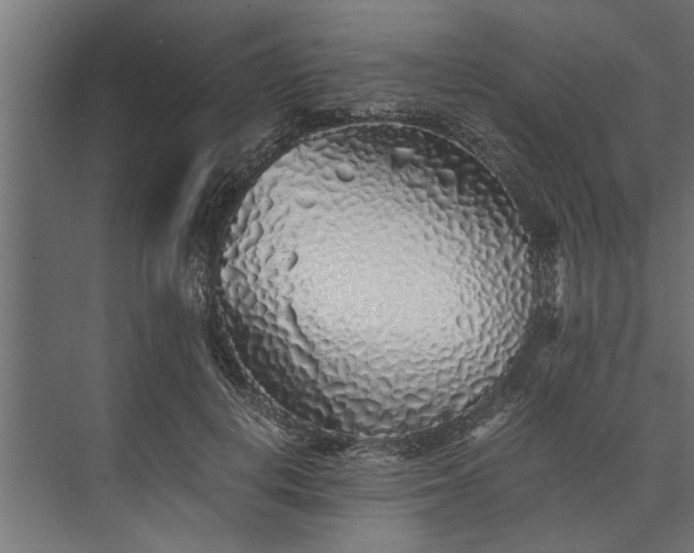 X0000073840648200608241018