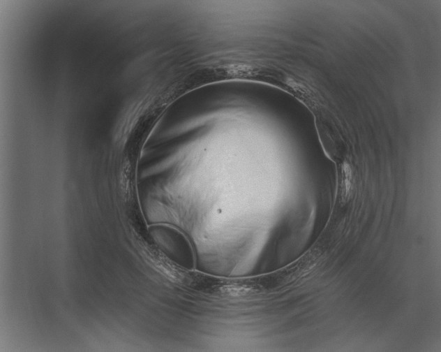 X0000073840650200608241018