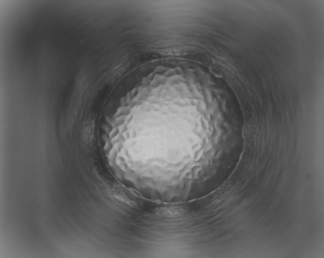 X0000073840652200608241018