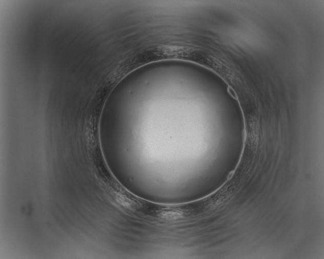 X0000073840653200608241018