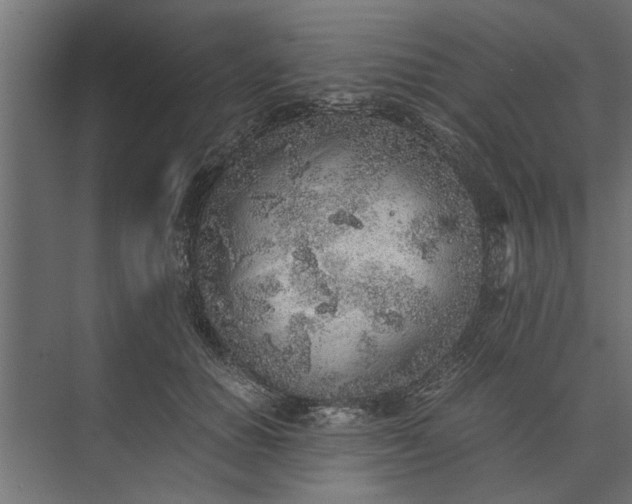 X0000073840654200608241018