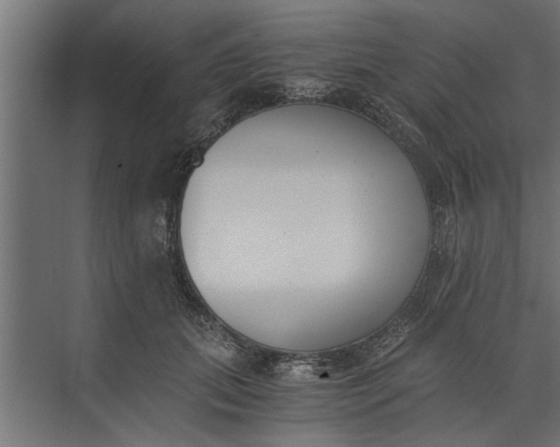 X0000073840655200608241018