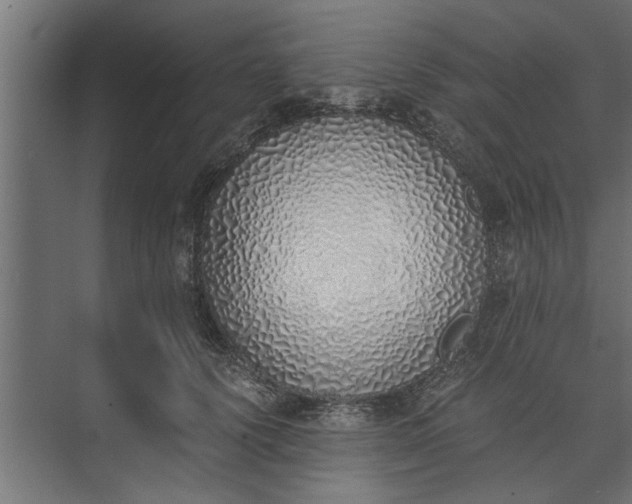 X0000073840656200608241018