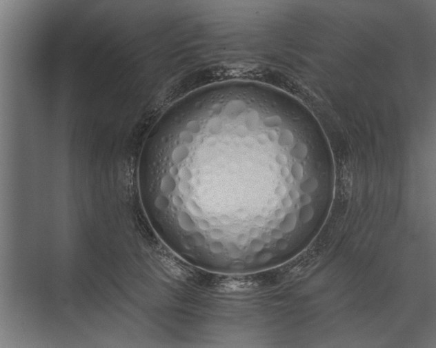 X0000073840657200608241018