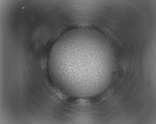 X0000073840660200608241018