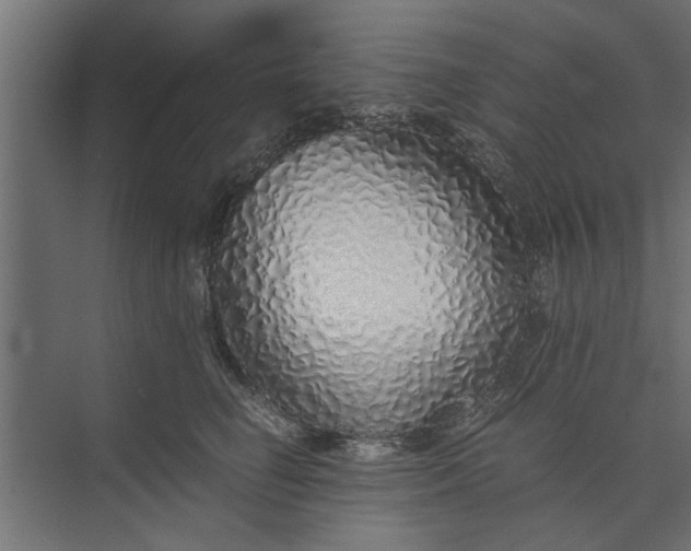 X0000073840662200608241018