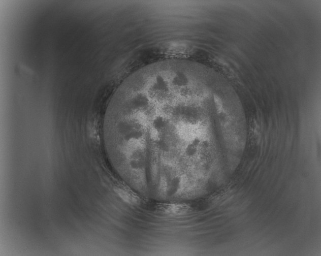 X0000073840663200608241018