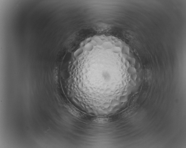 X0000073840664200608241018