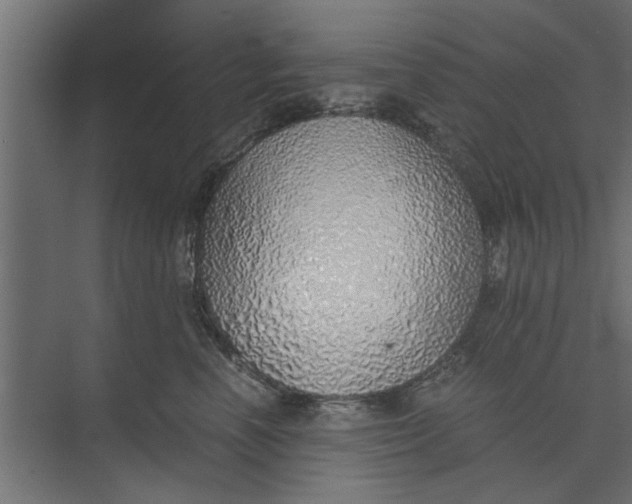 X0000073840666200608241018