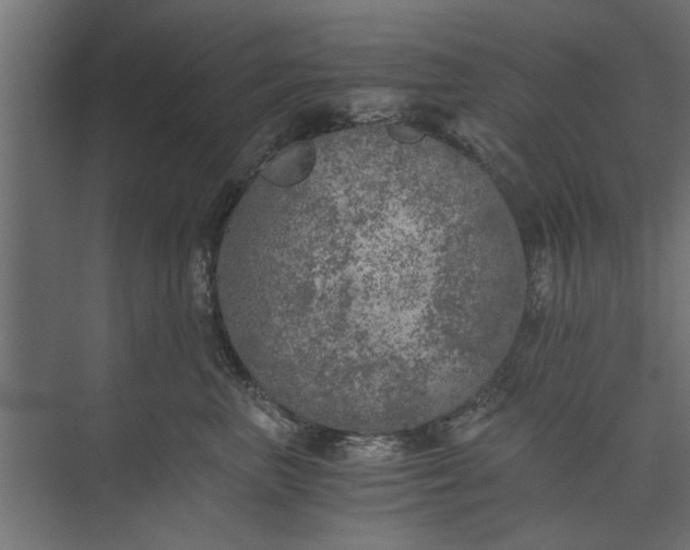 X0000073840667200608241018